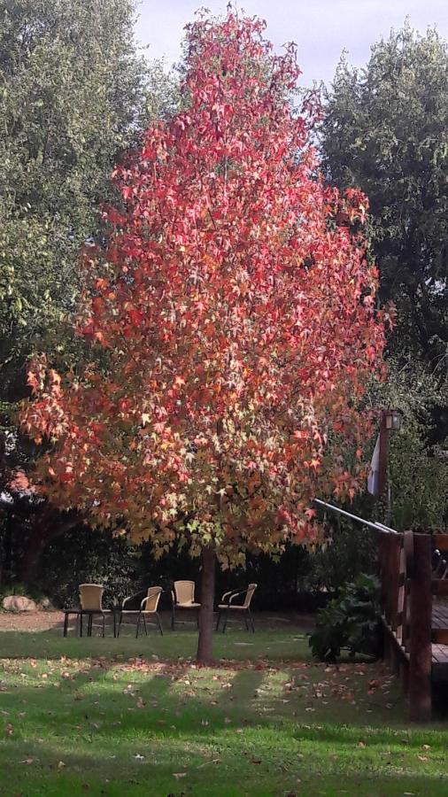 Complejo Retana Βίλα Potrero de los Funes Εξωτερικό φωτογραφία